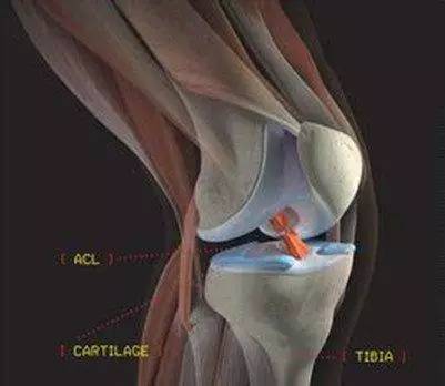  摩纳哥亿元先生楚阿梅尼韧带撕裂  